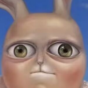 Meet your Posher, Kat